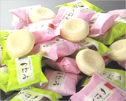 無料長期保証 つぼみ業務用アイスクリーム 48個入り 日本未入荷 入手困難 Design Tours Com