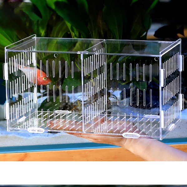 正規激安 水槽 おしゃれ インテリア 隔離ボックスアクリルグッピーの隔離ボックス 稚魚 L X W10 X H15 Cm 公式 Bluey Com Br