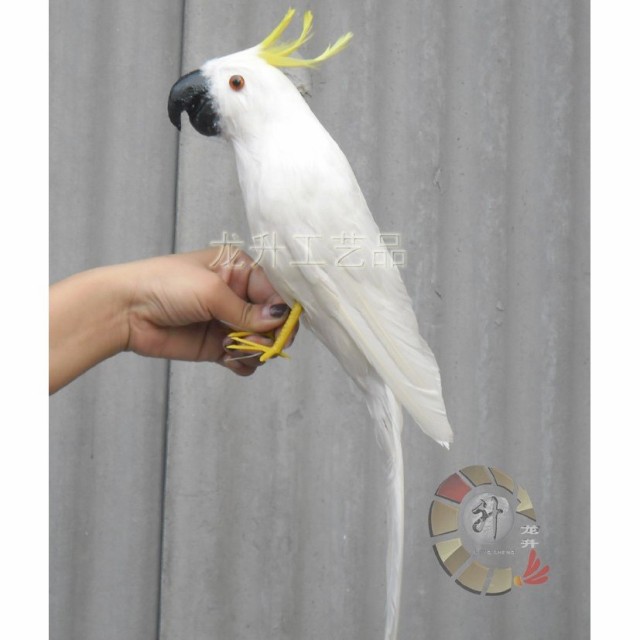 独創的 オウム ぬいぐるみ 鳥 リアル 置物 オブジェ 43cm かわいい 本物の鳥の羽 白い鳥 鳥好きの方にも 55 以上節約 Ogytech Com