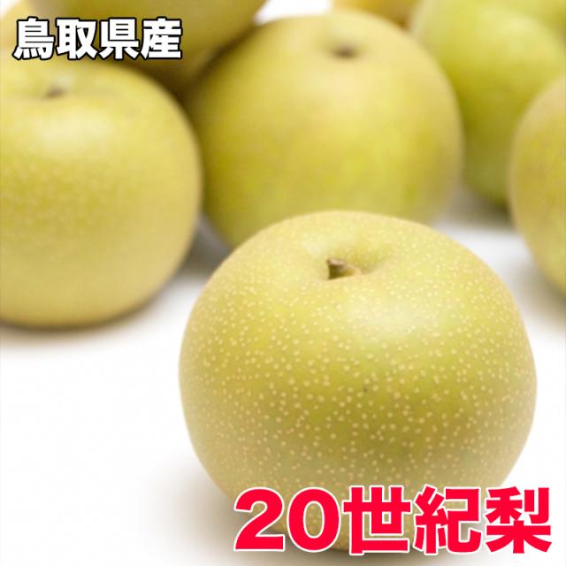 鳥取県産 20世紀梨 秀品 5kg 18玉入 送料無料 贈答用 梨 鳥取 20世紀梨 なし ナシ 橋本さんちの梨シリーズの通販はau Pay マーケット 大和屋 旬果庵 Au Pay マーケット店 商品ロットナンバー 385306119