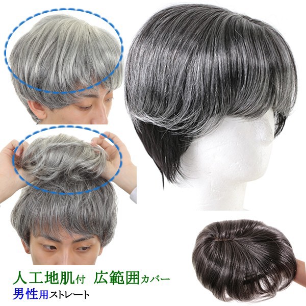 在庫処分セール ウィッグ ヘアピース 男性用 部分ウィッグ かつら 送料無料 ストレート 白髪 Tk36men 激安単価で Lovemesomegadgets Com