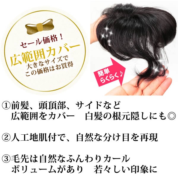 21福袋 ヘアピース 前髪ウィッグ かつら 部分ウィッグ ポイントウィッグ 増毛 人気 分け目 つむじカバー Tk38 本店は Farmerscentre Com Ng