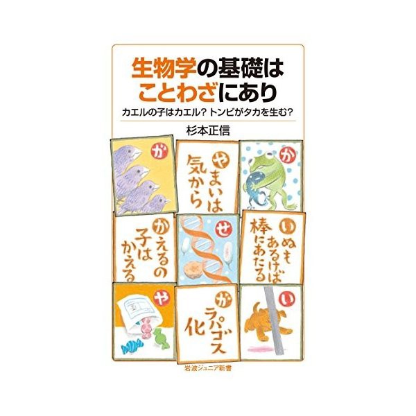 生物学の基礎はことわざにあり カエルの子はカエル トンビがタカを生む 岩波ジュニア新書 中古 古本の通販はau Pay マーケット ランクアップ Au Pay マーケット店 商品ロットナンバー