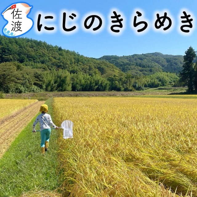 令和3年産 佐渡産にじのきらめき 25kg (白米/玄米)(/無洗米/7分づき：有料) 大野山麓で栽培した特別栽培米 農薬化学肥料5割減 期待の新