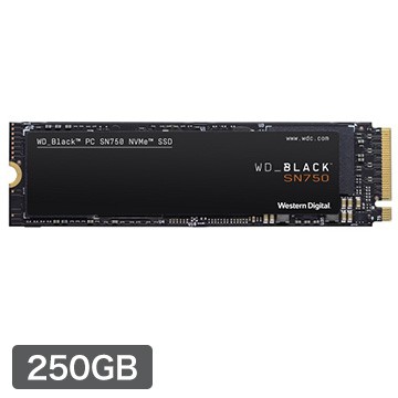 爆熱 Westerndigital Wd Blackシリーズ Sn750 Nvme M 2 Ssd 250gb Wds250g3x0c 国内正規品 限定 Www Iacymperu Org