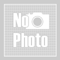 特価安いⓚ フジチク - ひかりTVショッピング au PAY マーケット店|商品ロットナンバー:487849937 藤彩牛ローススライス TW1010103346の通販はau PAY マーケット 2022品質保証