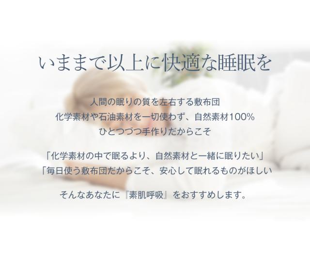 21新作 枕 子供用 園児用マルチまくら 羊毛 トウモロコシ繊維 自然素材100 Wool Board ウールボード 超大特価 Farmerscentre Com Ng