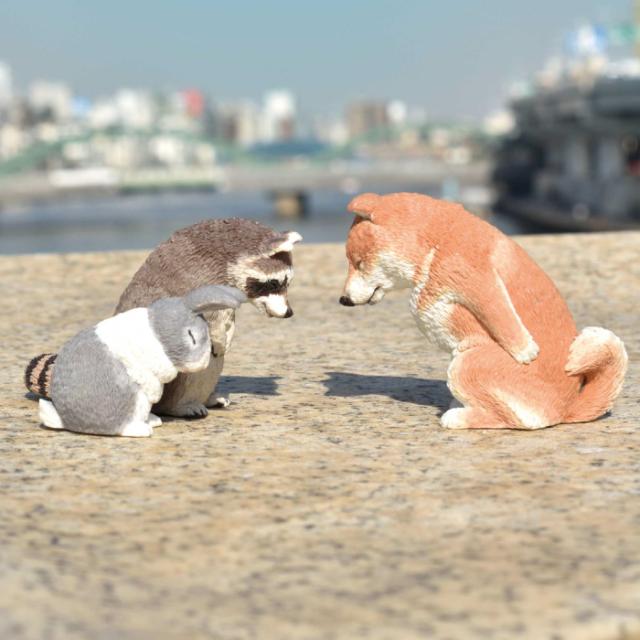 時間指定不可 ガチャ ガチャガチャ 猫 犬 動物 敬礼わんこ おじぎさん 1礼 2礼 考えてる風 フルセット アニマル グッズ 全種類 早者勝ち Centroprofesorjuanbosch Com