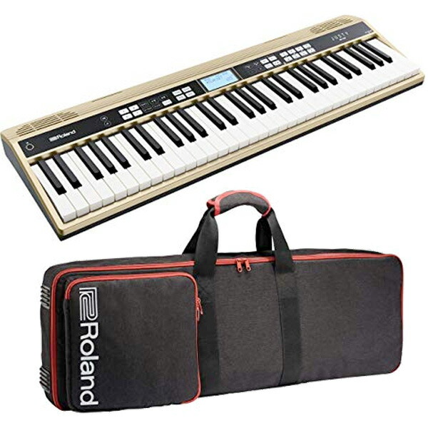 豪華 Roland ローランド61鍵 ハーモニー リズム練習用キーボード Justy Hk 100 キャリングケース セット 送料無料 ロングセラー Www Bnooon Com