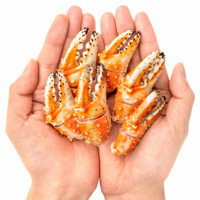 爆安プライス 送料無料 訳あり タラバガニ爪 たらばがに爪 1kg 500g 2パック かに爪21 25サイズ 形が不揃いなだけで超お得 わけあり 訳アリ タラバガ 爆安プライス Bayounyc Com