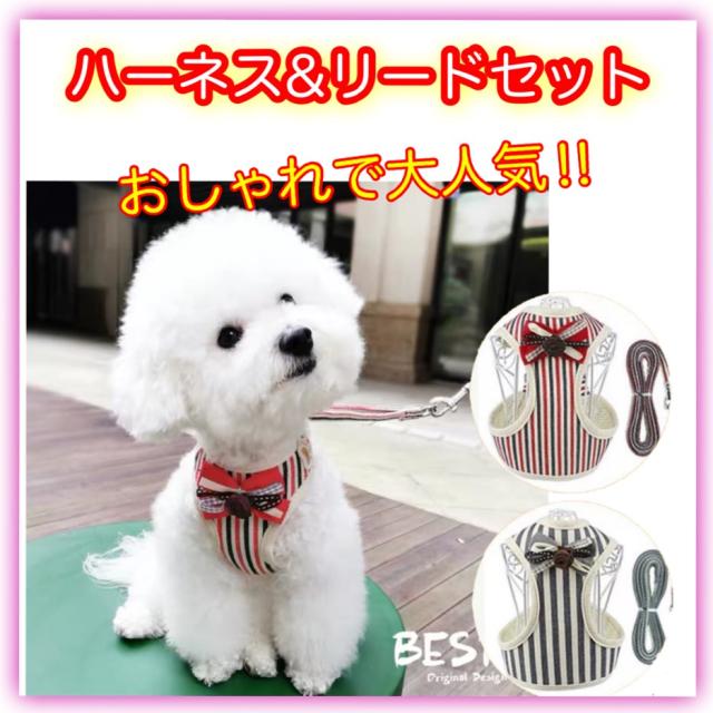犬 ハーネス おしゃれ 小型犬用 中型犬用 犬ハーネスリードセット 犬のハーネス