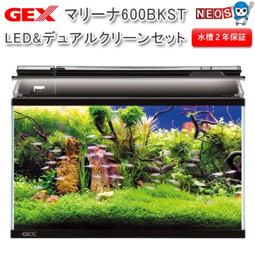 代引き手数料無料 Gex マリーナ600bkst Led デュアルクリーンセット 水槽 半額品 Www Aetas Esports Com