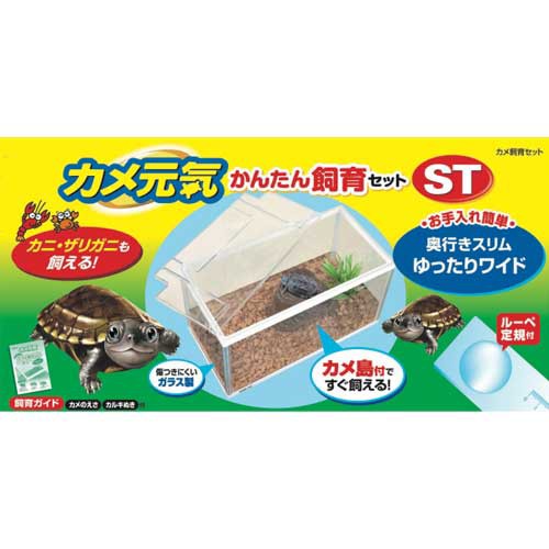 Gex カメ元気 かんたん飼育セットstの通販はau Pay マーケット 熱帯魚通販のネオス 商品ロットナンバー