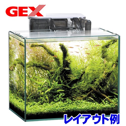 Gex グラステリア300 6点セット 水槽セット 飼育セット 水槽 熱帯魚 観賞魚 飼育 セット水槽 オブジェ 生体 通販 販売の通販はau Pay マーケット 熱帯魚通販のネオス 商品ロットナンバー