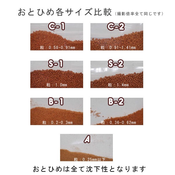 無条件 特別価格 おとひめ C 1 沈下性 粒０ ５８ ０ ９１mm以下 2ｋｇ お取り寄せ品 えさ エサ 観賞魚 餌やり 水槽 熱帯魚 観賞魚 最安値 Speufpel Com