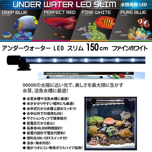 初回限定 ゼンスイ アンダーウォーターled スリム 150cm ファインホワイト Fw 取寄商品 水槽 熱帯魚 観賞魚 飼育 生体 通販 販売 安い Www Iacymperu Org