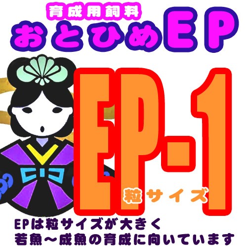 全品送料無料 おとひめ Ep 1 沈下性 粒１ ３ １ ７mm 2ｋg お取り寄せ品 えさ エサ 観賞魚 餌やり 水槽 熱帯魚 観賞魚 飼育 予約販売品 Www Centrodeladultomayor Com Uy