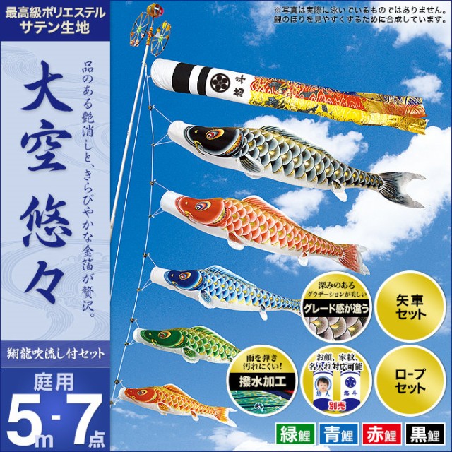 フリースタイルショップ こいのぼり 鯉のぼり 庭園用 庭用 村上 鯉 鯉幟 家紋入れ 名前入れ お顔写真入れ可能 セット各種 翔龍吹流し 矢車 ロープ付き ポ Facto Saatchi Mg