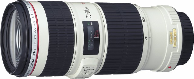 誠実 Canon 望遠ズームレンズ EF70-200mm F4L IS USM フルサイズ対応(品), かごや 87528ce2