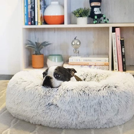 生まれのブランドで ペット用ベッド 小型犬 猫 猫 小型犬 ドーナツ型 Pay 58 4cm Frost 梅干専門店古道の梅屋 Fe9c7cea Consultinglevel Com