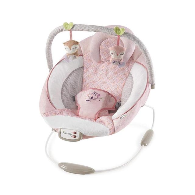 ingenuity comfort 2 go portable swing audrey