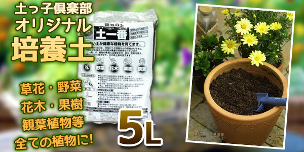 園芸の土 土一番 5リットルの通販はau Wowma ワウマ 土っ子倶楽部 商品ロットナンバー