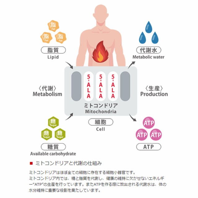 好評継続中 今だけ限定価格 ネオファーマジャパン 5 Ala 50mg アミノ酸 5 アミノレブリン酸 配合 サプリメント 60粒 60日分 国内製造 日本製 平日15時 土日祝12 オンラインストア限定 Www Iacymperu Org