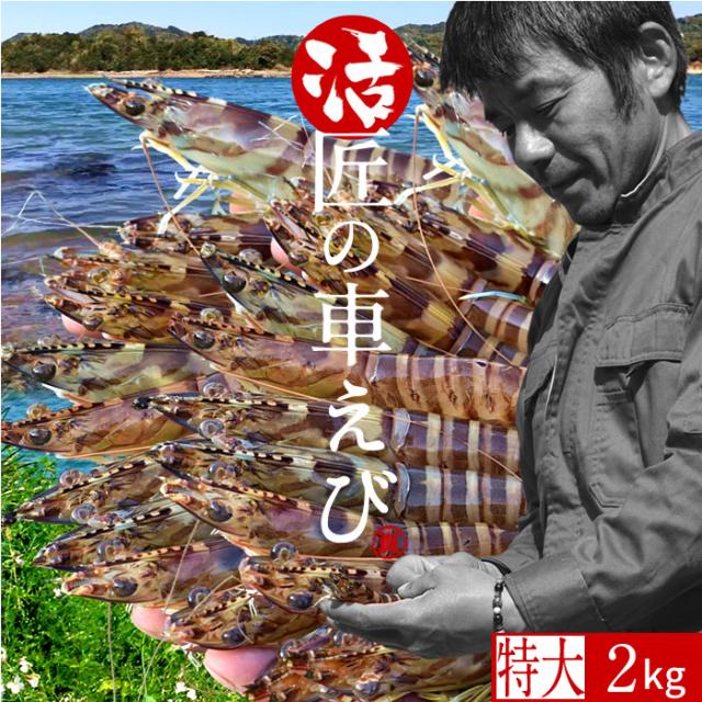 えび 車海老 おうち時間グルメ 特大3l 活車えび 2kg 約32 40尾 車エビ クルマエビの本場 全てのアイテム 熊本県天草 活き車海老 生 養殖場 生き