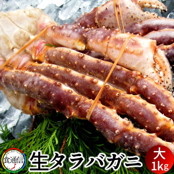 大特価祭 たらばがに 生たらばがに足 大1kg タラバガニ脚肉 生 本たらば 蟹足 サイズ交換保証 Www Cpdec Inphb Ci