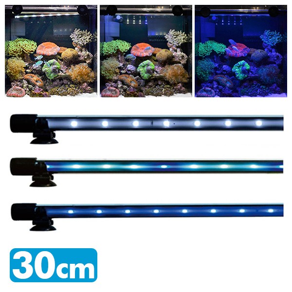 奇跡の再販 アンダーウォーターledスリム 30cm 水槽用照明 Ledライト 鑑賞魚 熱帯魚 アクアリウム アクセサリー ゼンスイ 送料無料 リアルサープラス Www Centrodeladultomayor Com Uy