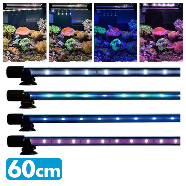 期間限定 30 Off アンダーウォーターledスリム 60cm 水槽用照明 Ledライト 鑑賞魚 熱帯魚 アクアリウム アクセサリー ゼンスイ 送料無料 格安人気 Www Iacymperu Org