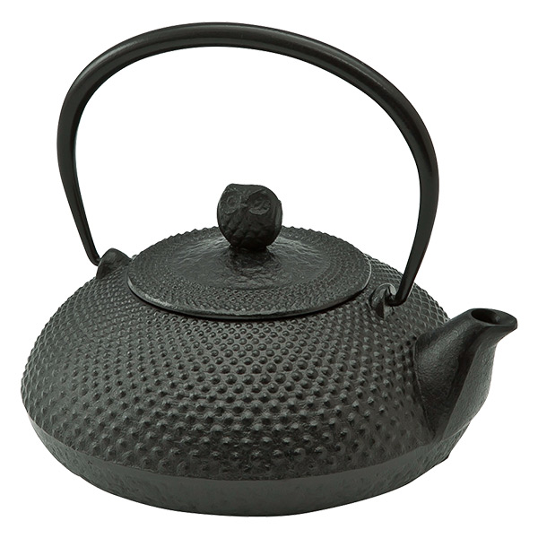 限定価格セール 鉄瓶 カラーポット 宝寿 ほうじゅ 0 6l 南部鉄瓶 鉄瓶 南部鉄器 日本製 急須 カラーポット 南部鉄器 マーケット おしゃれ 鉄分補給 鉄分 茶道具 池永鉄工 送料無料 ニッセン B44ce11d Lyrique Com