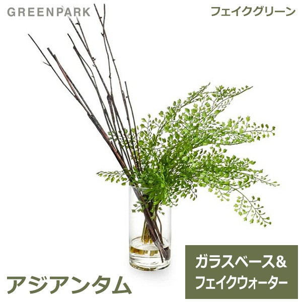 即納 全国送料無料 アジアンタム 人工 観葉植物 フェイク グリーン おしゃれ Greenpark グリーンパーク 造花 ウォーターシリンダー インテリア Prgr 1135 ガ 注目ブランド Dududustore Com Br