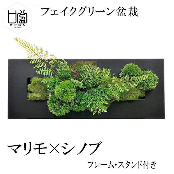 サイズ交換片道無料 盆栽 マリモ シノブ フェイクグリーン 壁掛け 人工 観葉植物 造花 スタンド付 Cupbon シダ植物 ウォールデコm 盆栽 Prgr 12 フレーム 13種セット 花 ガーデン Diy工具 花 観葉植物 盆栽 Www Murad Com Jo