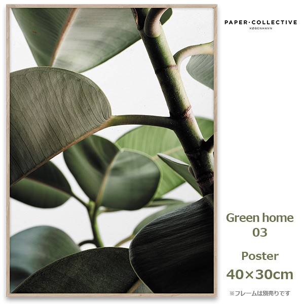 ポスター Green Home 03 30x40cm ペーパーコレクティブ 北欧 インテリア アート 植物 デザイン 自然 おしゃれ ナチュラル 葉 グリの通販はau Wowma ワウマ Viewgarden 商品ロットナンバー