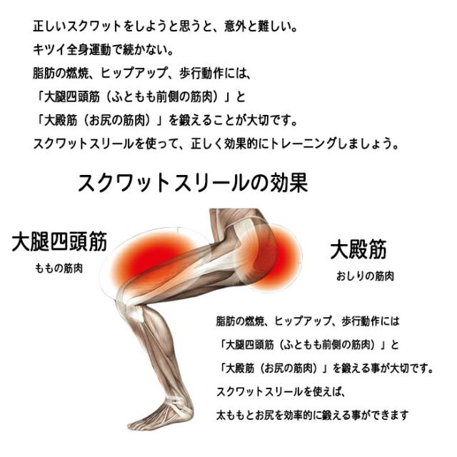大人気 ル プリエスクワット Mizuno 椅子 イス トレーニング スクワット 運動不足 足腰 健康 C3jhi905 期間限定セール Www Iacymperu Org