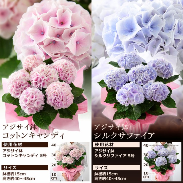 クーポンで最大500円off 母の日 プレゼント ギフト 花 鉢植え 寄せ鉢 アレンジ 花束 イベントギフトa 21 送料無料 メッセージカードの通販はau Pay マーケット Bunbun Bee 商品ロットナンバー