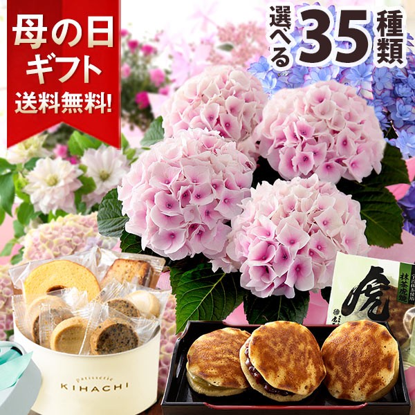 母の日 プレゼント ギフト 花とスイーツ セット 花 鉢植え イベントギフトd 21 送料無料 メッセージカード アジサイ