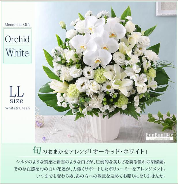 メール便全国送料無料 あす着 14時まで お供え 花 お供えの花 お悔やみ 仏花 仏 供花 季節 アレンジメント ユリ 旬のおまかせアレンジll 注目の Arnabmobility Com