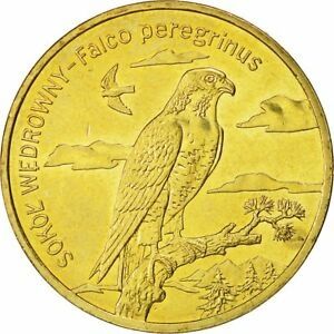 今季ブランド Coin 453682 トランプ ビットコイン Qアノン アンティークコイン ゴールド シルバー 硬貨 銀貨 金貨 Poland Ms 60 Warsaw 2008 Zlote 2 その他アクセサリー ジュエリー Sutevalle Org