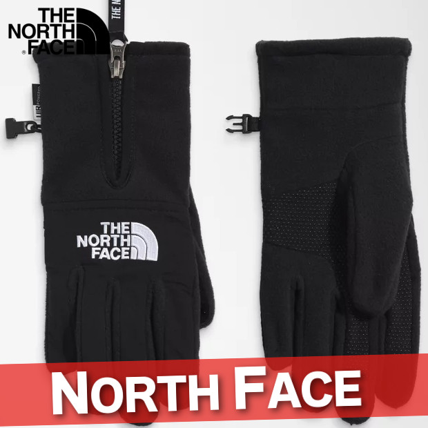 ランキング受賞 ノースフェイス グローブ 手袋 メンズ クラッグモント フリース グローブ アウトドア キャンプ 新作 初売りセール Majconsults Com