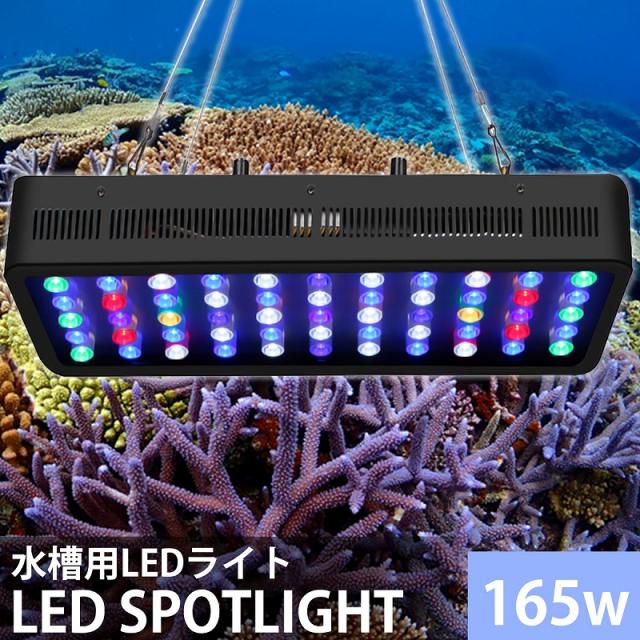 安い 売上 珊瑚 水槽照明 長寿命 静音性パワーアップ アクアリウムライト Led 海水魚 Ql 16 調光 省エネ サンゴ水槽 水草 165w 長寿命 サンゴ水槽 熱帯魚 Ql 16 高価 買取 安い 売上 珊瑚 水槽照明 長寿命 静音性パワーアップ アクアリウムライト Led 海水魚 Ql 16 調光 省エネ サンゴ水槽 水草 165w 長寿命 サンゴ水槽 熱帯魚 Ql 16 高価 買取