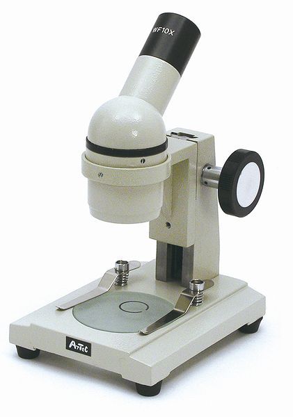 実験 通販 道具 教材 研究 観察 正立式解剖顕微鏡 総合倍率倍 授業 プレパラート 夏休み 小学校 Www Godoctor Com Ec