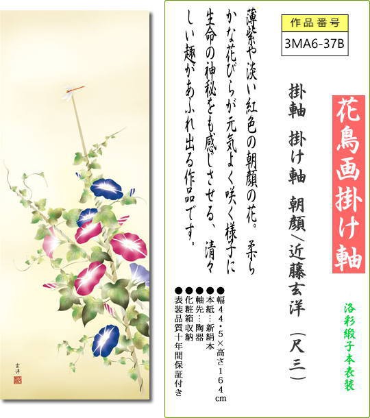 激安ブランド 掛軸 掛け軸 朝顔 近藤玄洋 尺三 表装 床の間 おしゃれ モダン 送料無料 3ma6 37b 最安値挑戦 Olsonesq Com