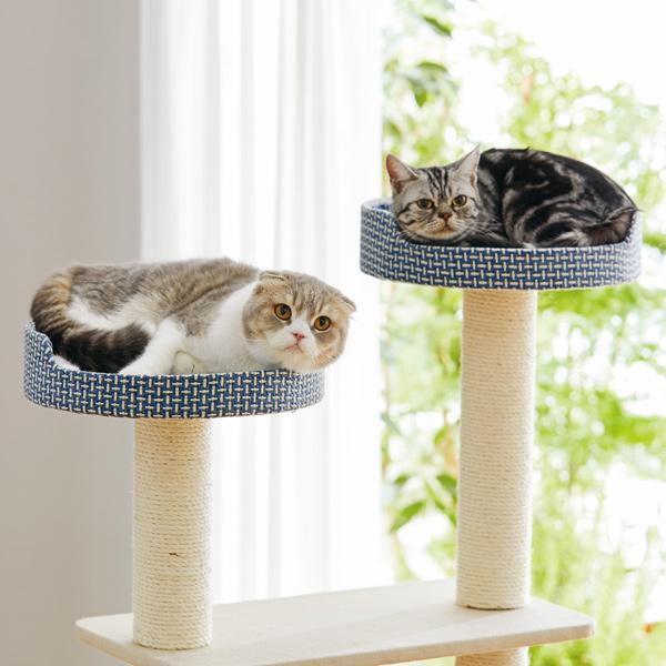 手数料安い Sippole トレイルタワー ダブルカップ 猫 キャット
