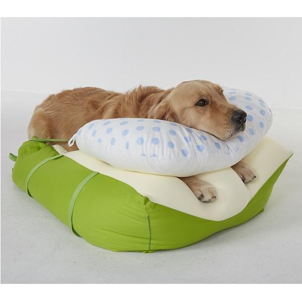 即納特典付き 王様のらくすや 大型犬用 幅60 奥行80 高さ40cm 犬 介護 ベッド 国産 ペピイオリジナル 人気絶頂 Vigorgh Com