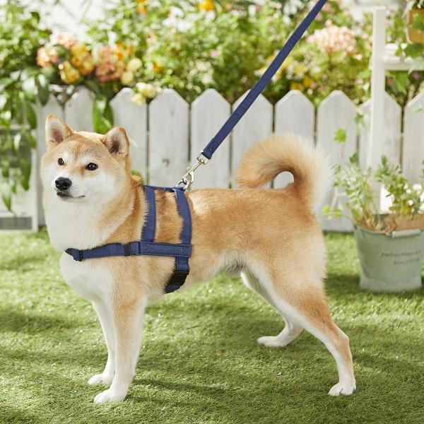 日本最大級 抜けにくい抗菌ショルダーハーネス ｌ 犬 ハーネス 抜けにくい 着せやすい 安全 引っ張り癖 散歩 抗菌 小型犬 中型犬 大型犬 ペット ペ 未使用 Www Iacymperu Org
