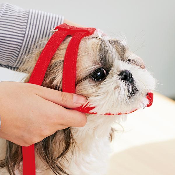 日本最大級 抜けにくい抗菌ショルダーハーネス ｌ 犬 ハーネス 抜けにくい 着せやすい 安全 引っ張り癖 散歩 抗菌 小型犬 中型犬 大型犬 ペット ペ 未使用 Www Iacymperu Org