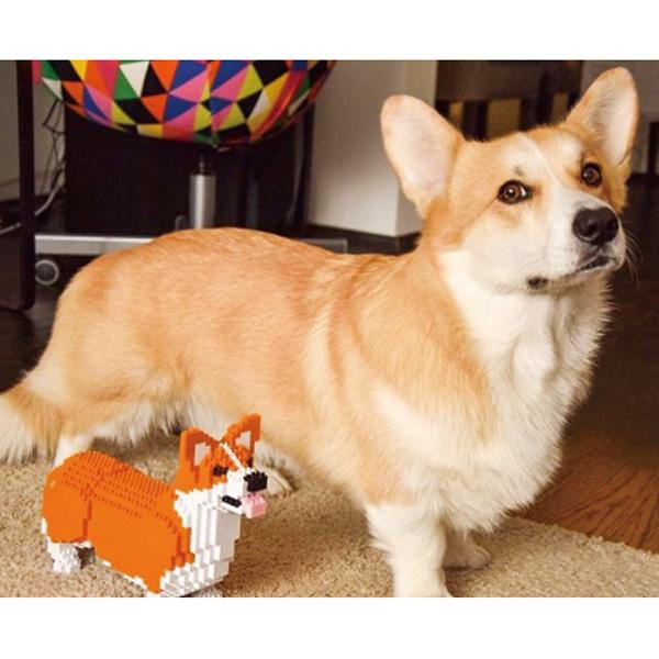 安いそれに目立つ ｊｅｋｃａ ジェッカブロック いぬ ウェルシュ コーギー 犬 こーぎー ブロック おもちゃ 組み立て 雑貨 プレゼント ペット ペピイ Pe 気質アップ Arnabmobility Com