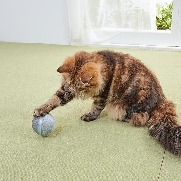 再値下げ ウィキッドボール ウール 犬 猫 おもちゃ ボール 全自動 電動 一人遊び いぬ ねこ ペット ペピイ Peppy 高級感 Dududustore Com Br